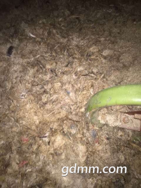 ΢��ͼƬ_20181202194538.jpg