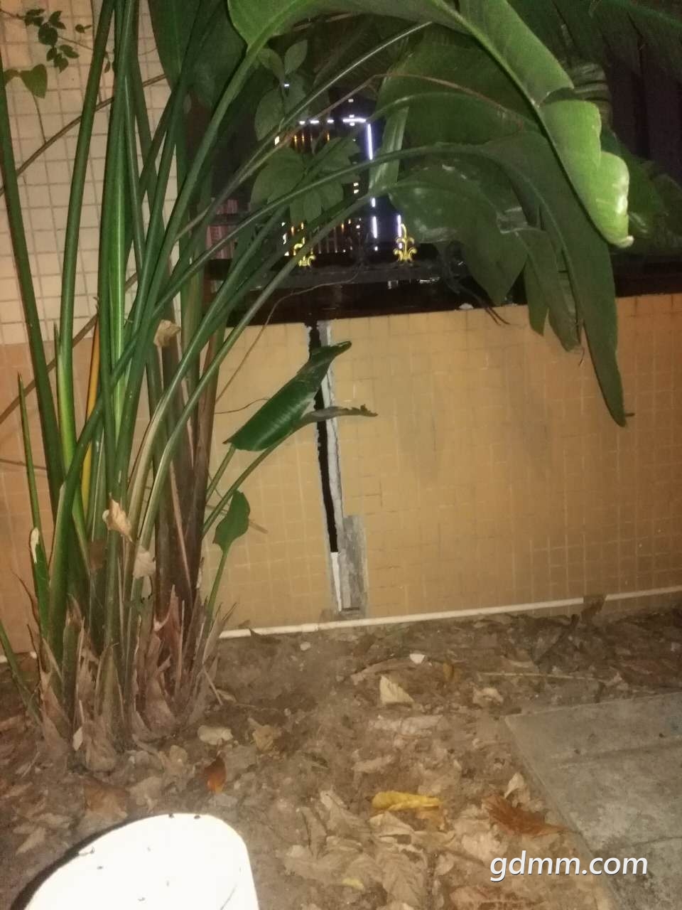 ΢��ͼƬ_20181203001709.jpg