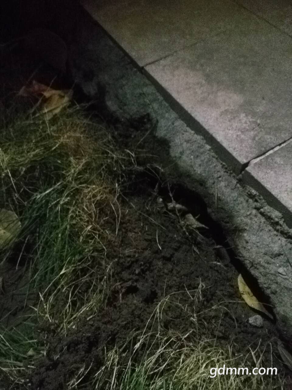 ΢��ͼƬ_2018120300170912.jpg