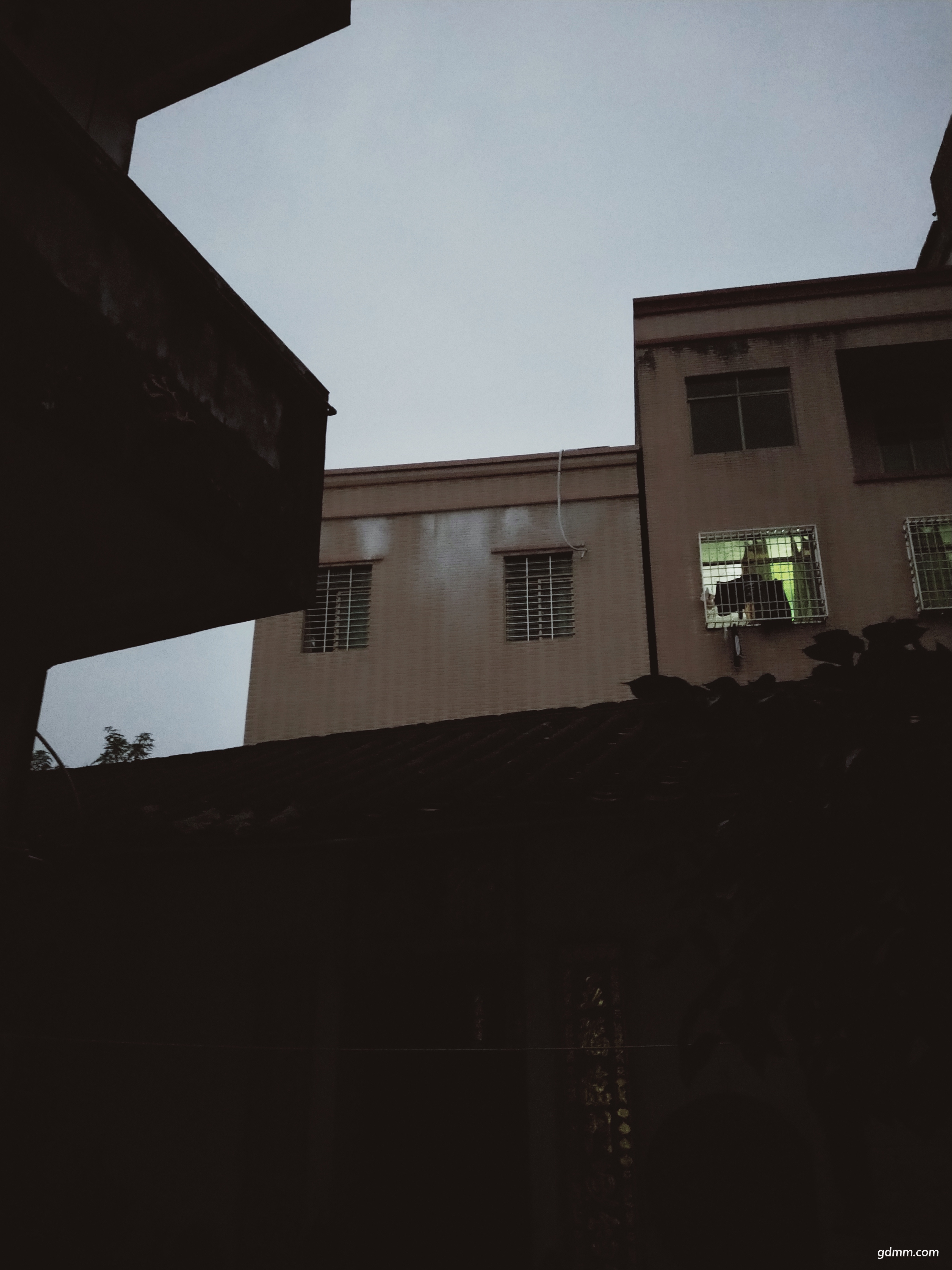 IMG20181215181622.jpg