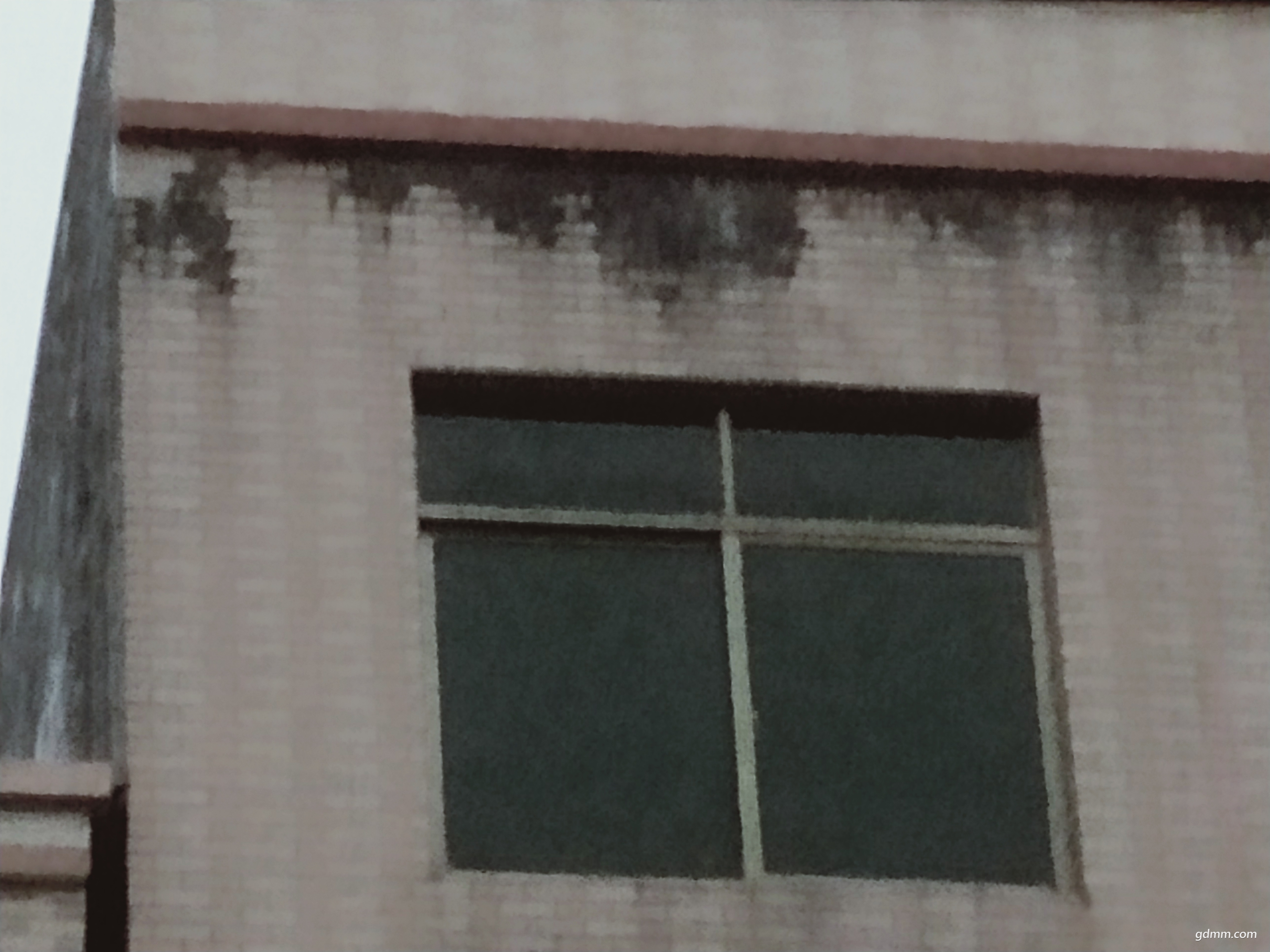 IMG20181215181403.jpg
