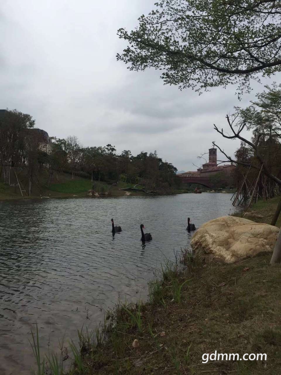 20181224_148627_1545627127129.jpg