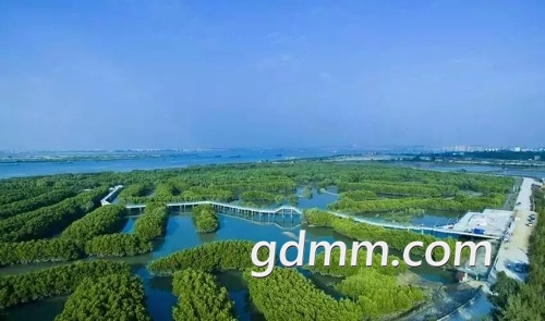 mmexport1545714569377.jpg