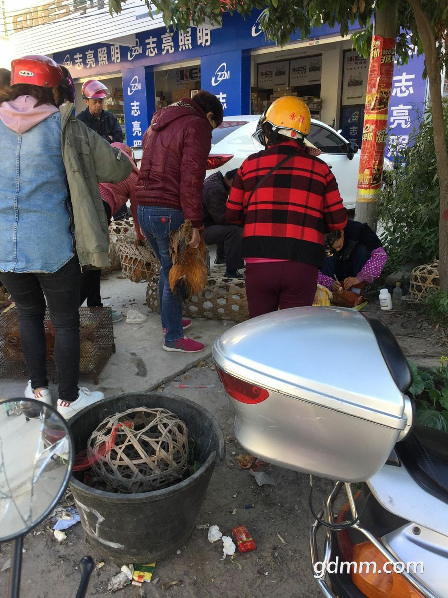QQͼƬ20181230102149 ����_������.png