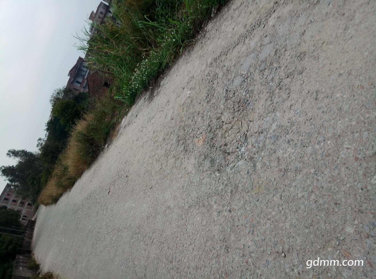 650441824776625421.jpg