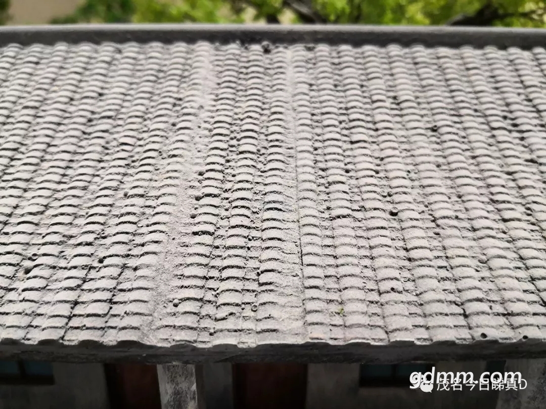 20190107_114836_024.jpg
