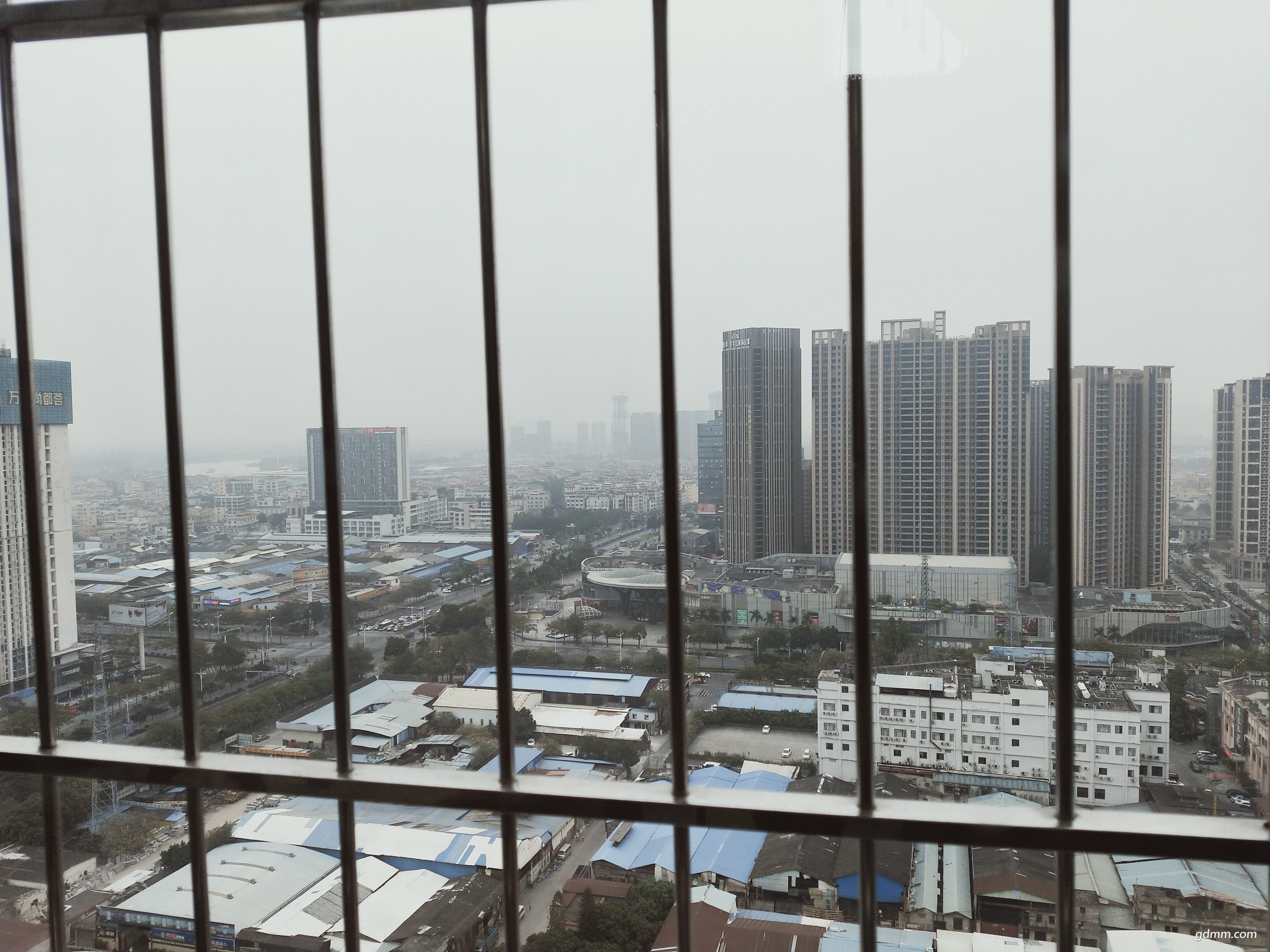 IMG20190113074145.jpg