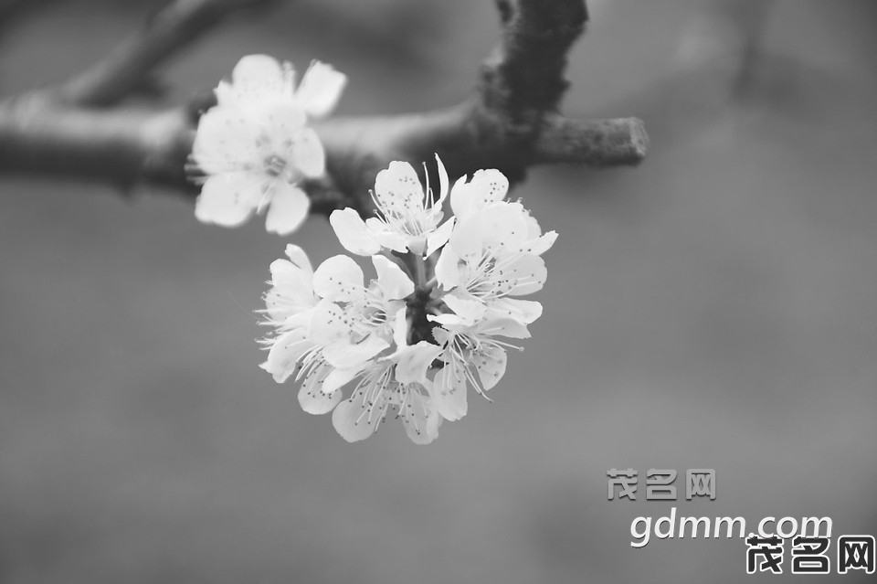 9026c010694bd1ef6c4ccd505d253662.jpg