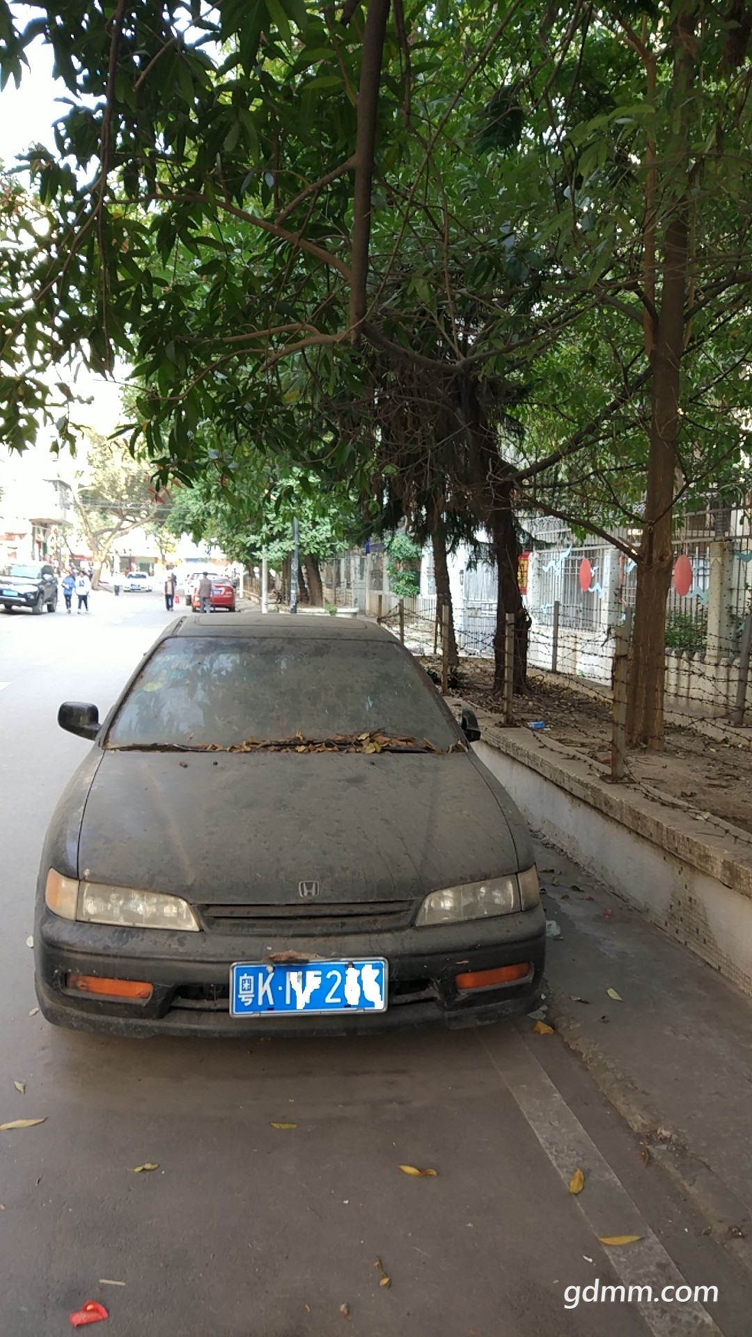 222.jpg