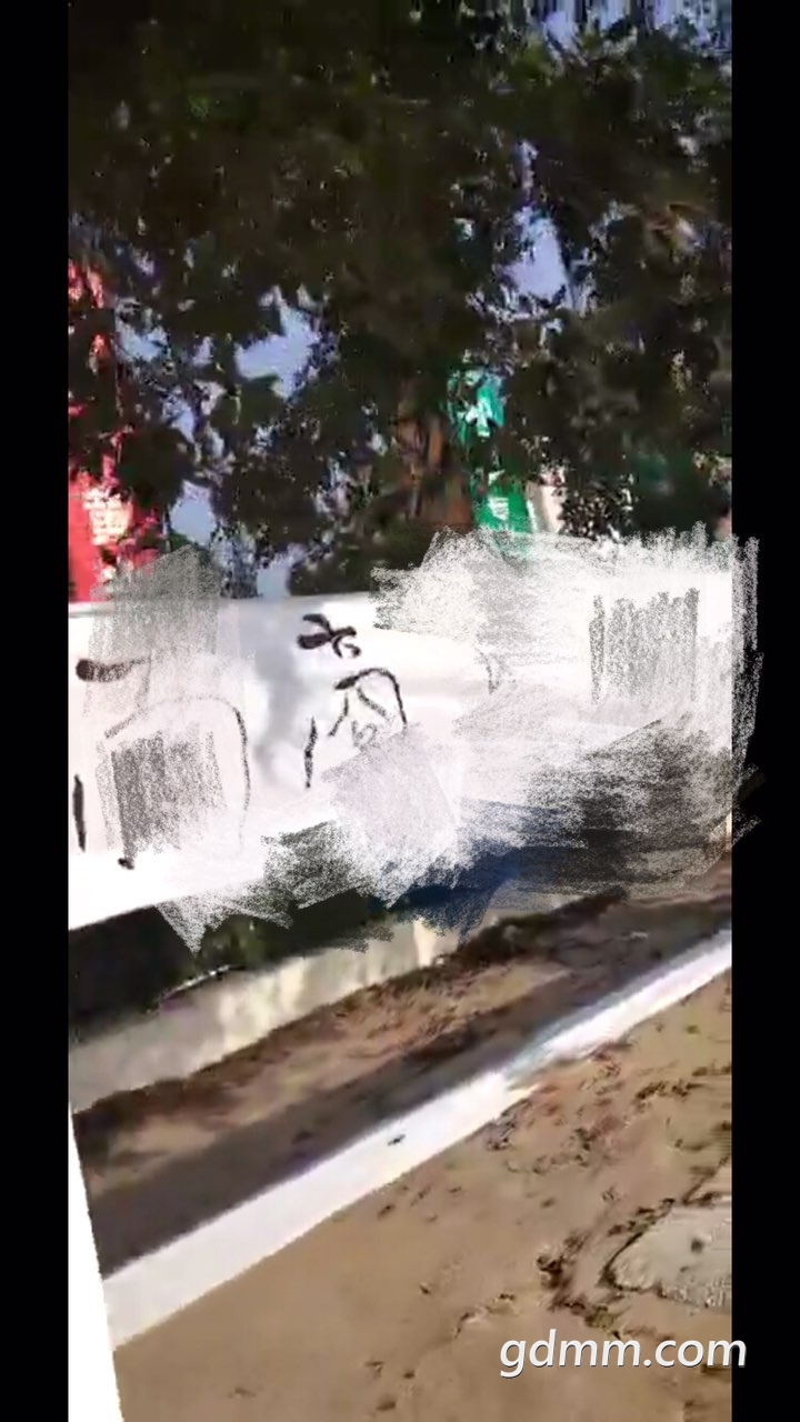 2019012632665151548515552729172.jpg