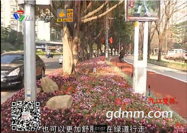 QQ��ͼ20190129170730.jpg