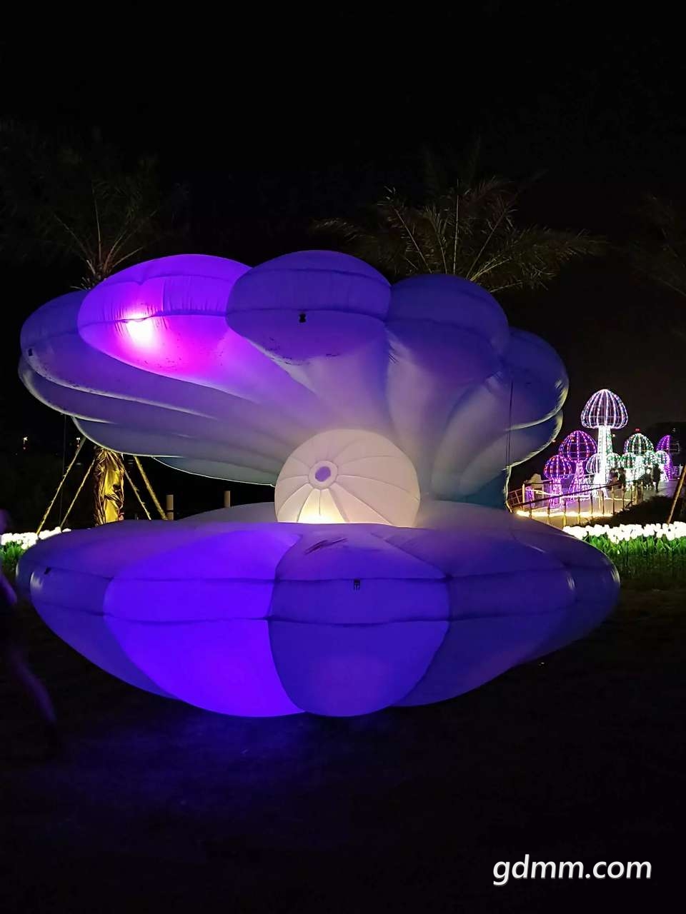 20190206_3278968_1549468108456.jpg