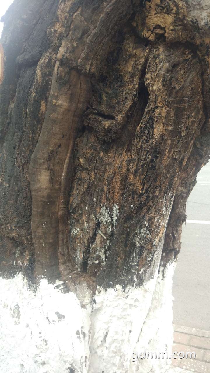 20190210_3280303_1549786766085.jpg