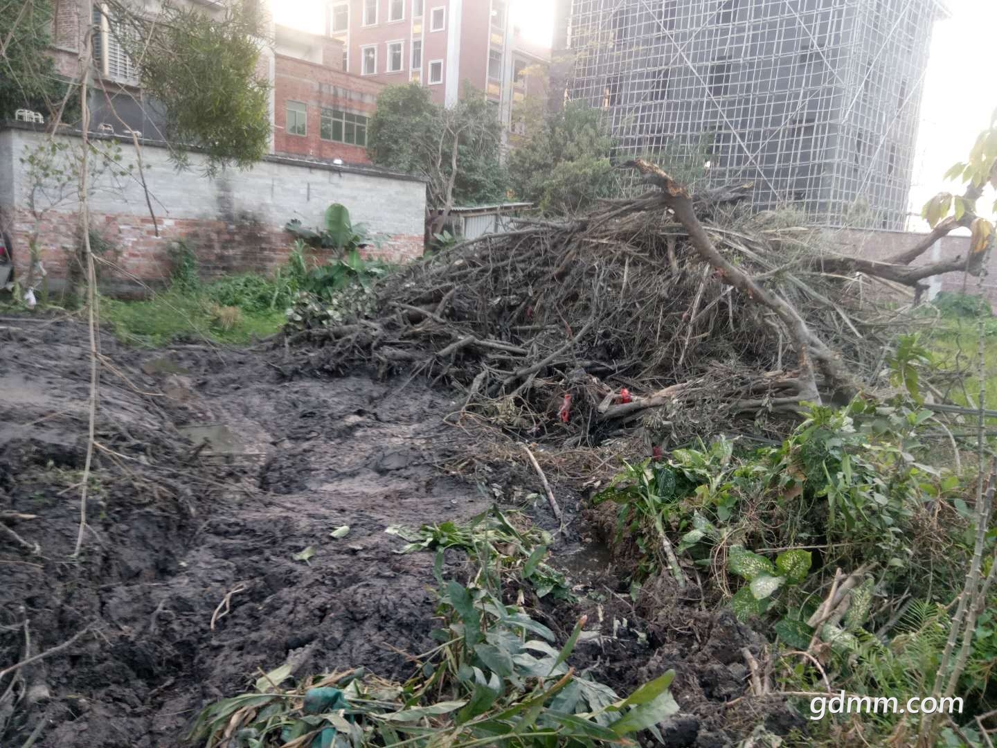 ΢��ͼƬ_20190210162209.jpg