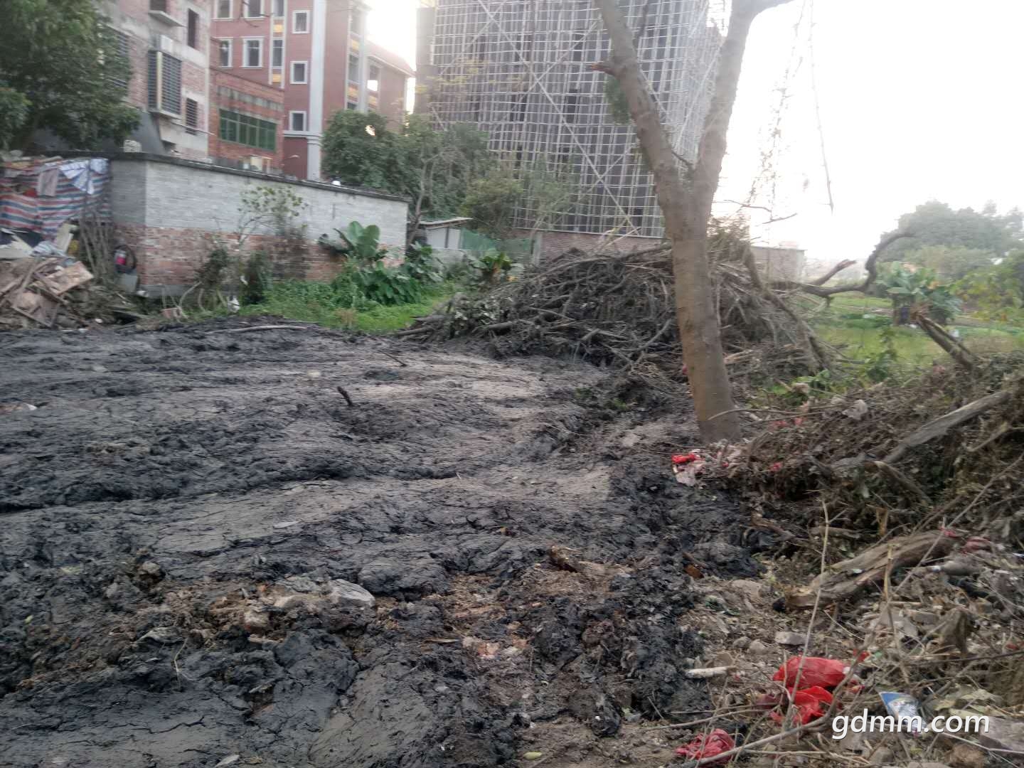 ΢��ͼƬ_20190210162156.jpg