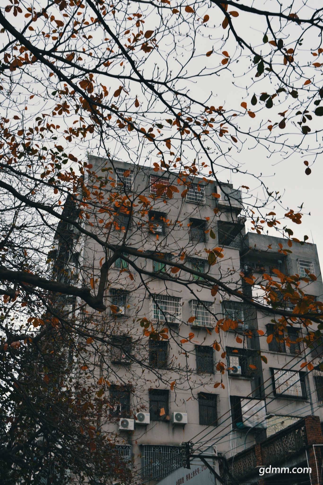 mm004.jpg