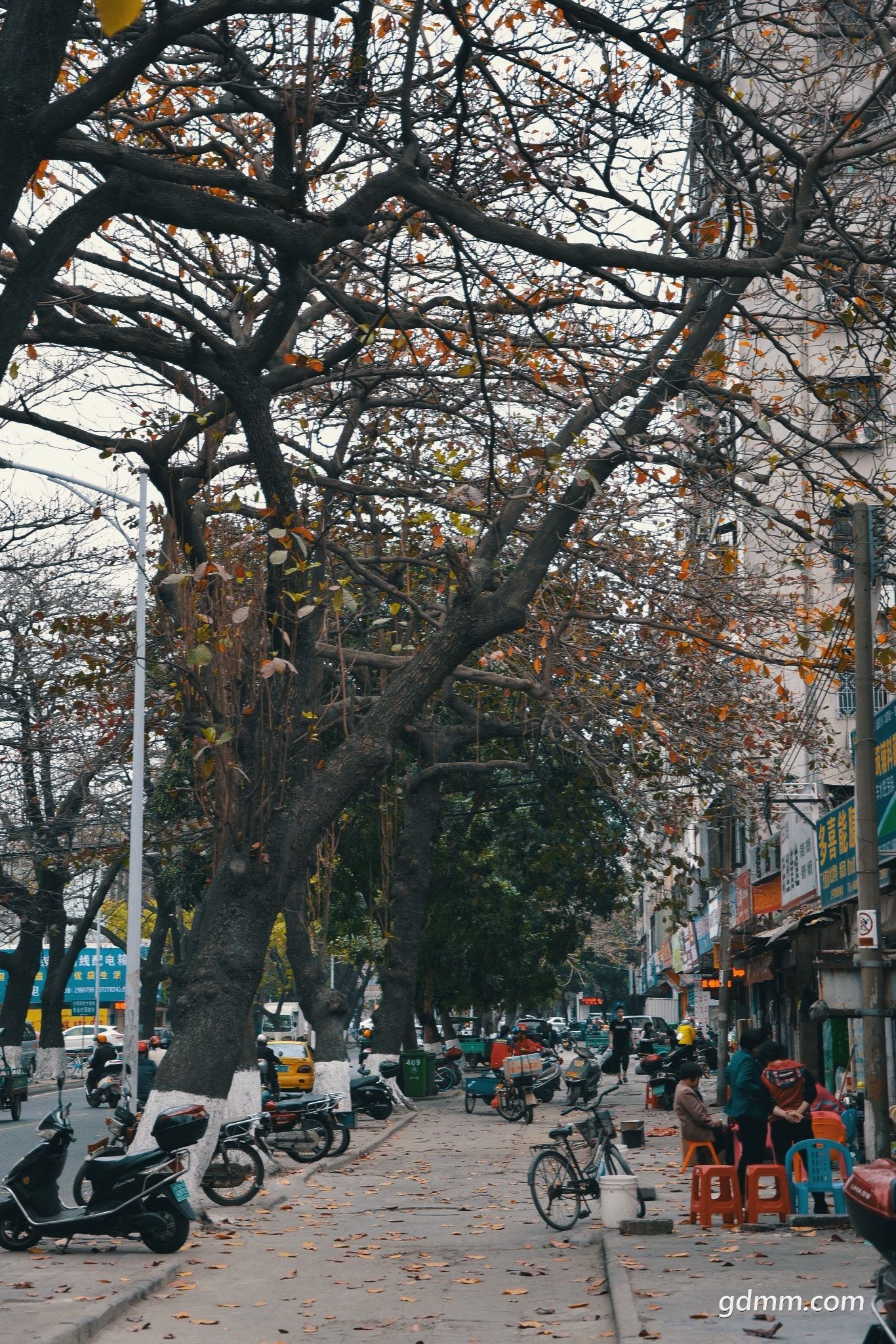 mm003.jpg