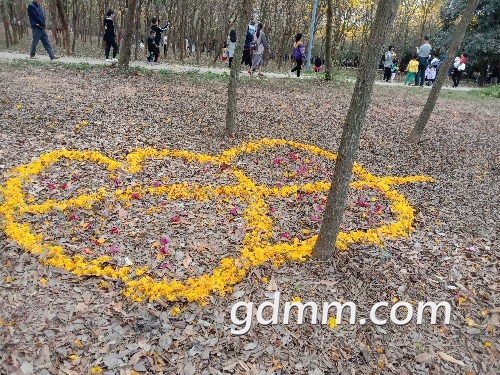 IMG_20190217_171440.jpg