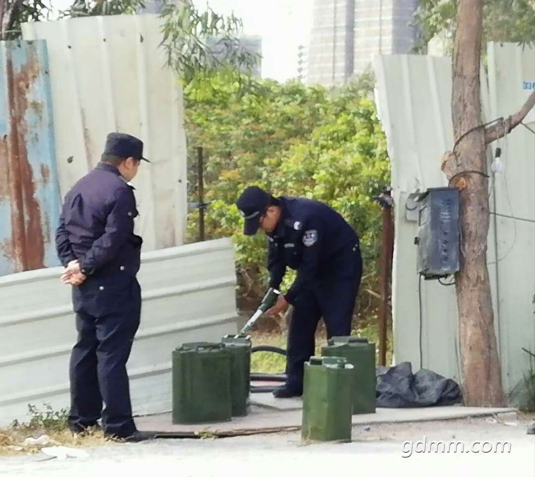 33.jpg