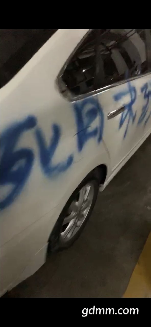 2019022232795991550802309666951.jpg