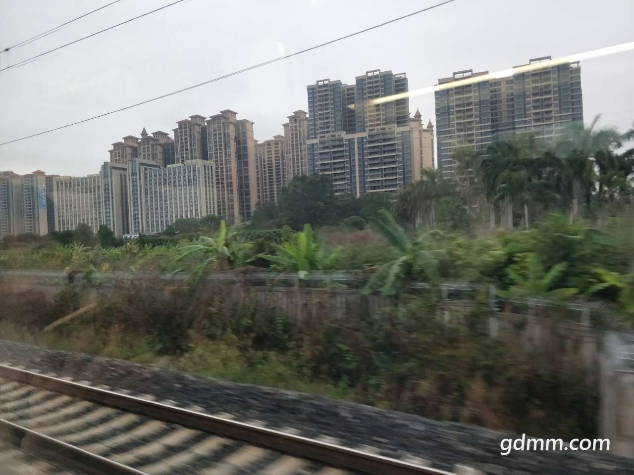 20190223_3279031_1550914070427.jpg