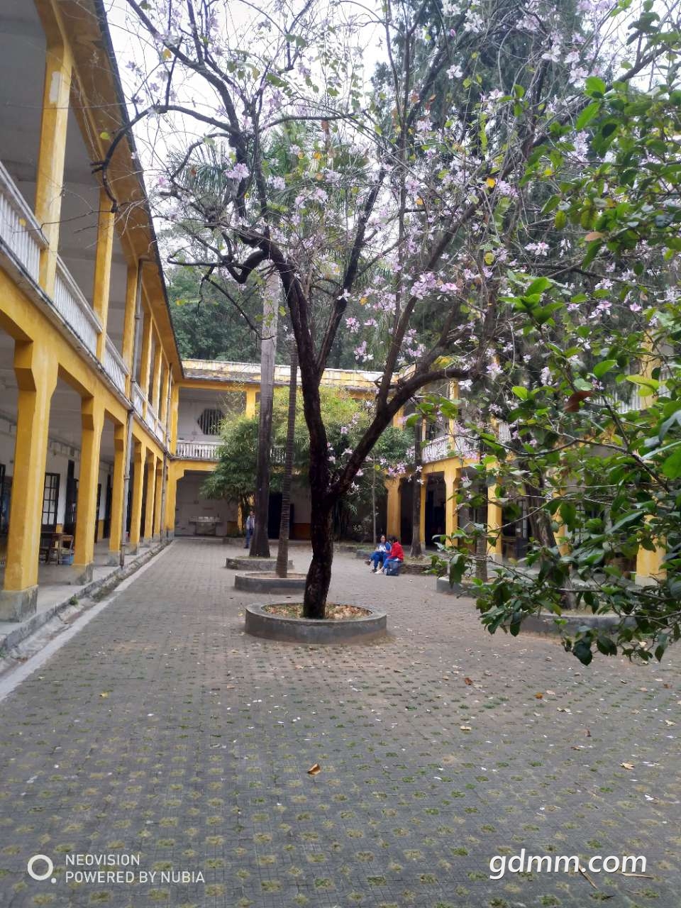 20190224_3256765_1550964909465.jpg