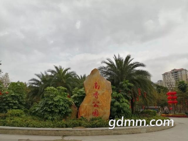 20190226_121752_021.jpg