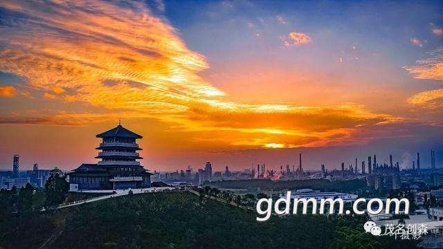20190226_121752_029.jpg