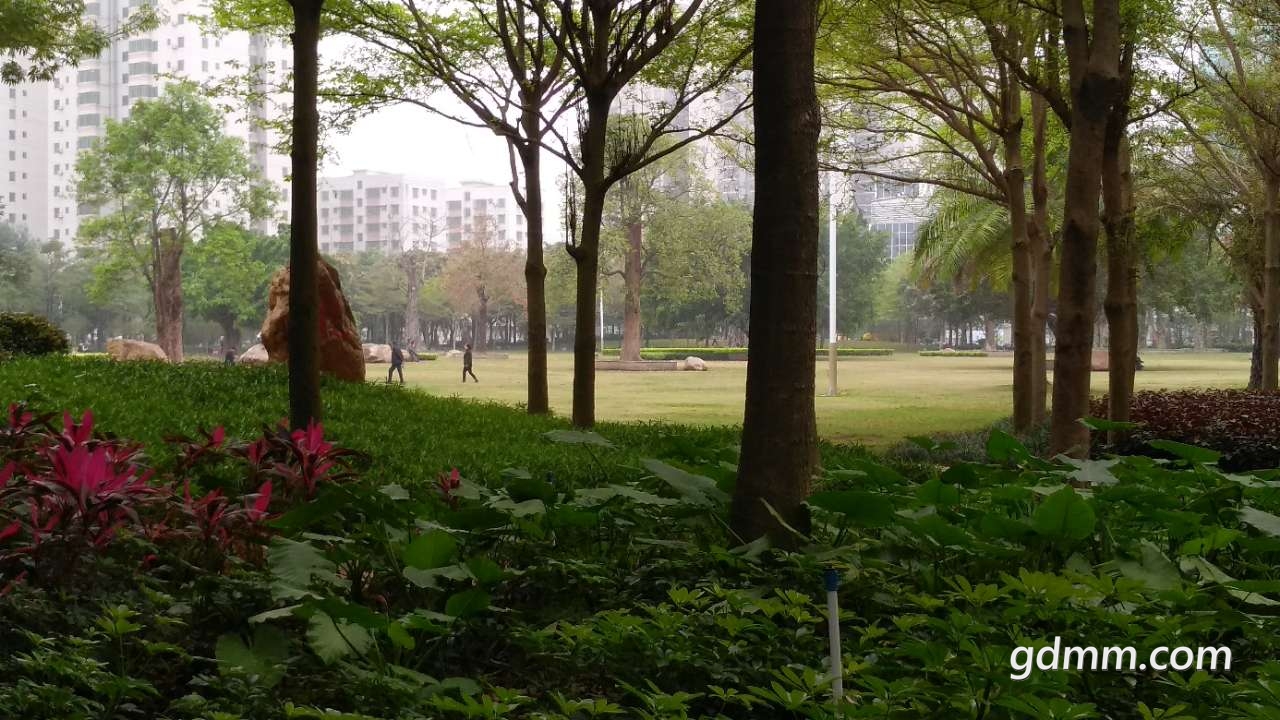 20190227_3272280_1551269522048.jpg