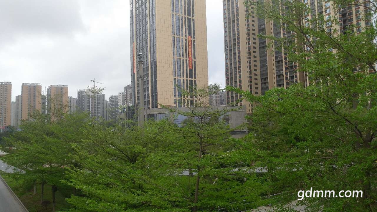 20190227_3272280_1551269833636.jpg