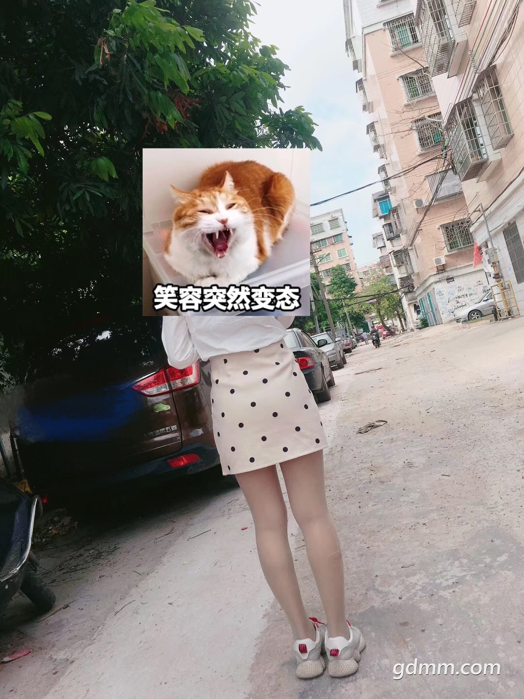 ΢��ͼƬ_20190301172739.jpg