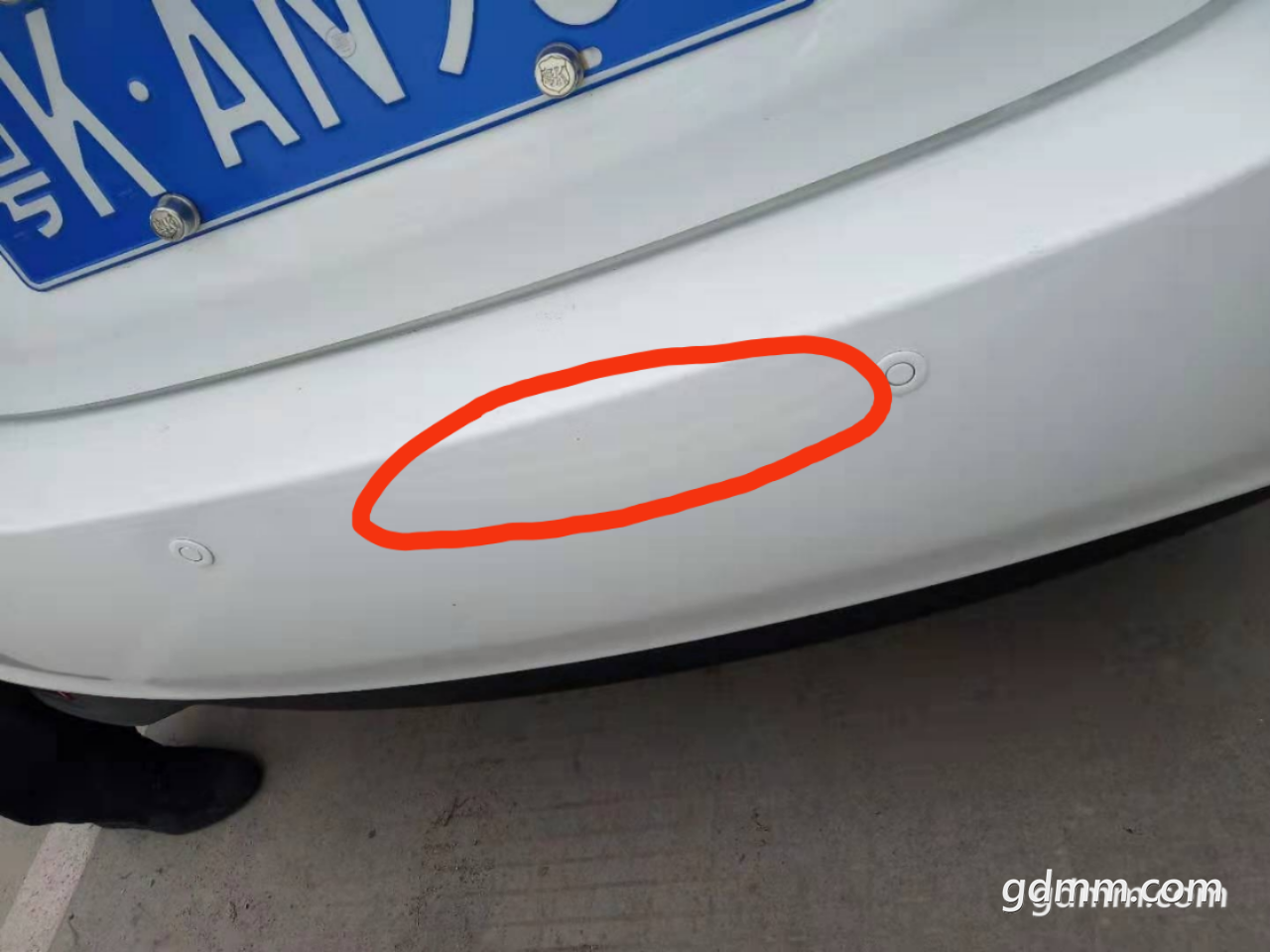 20190302_3061250_1551525572045.png