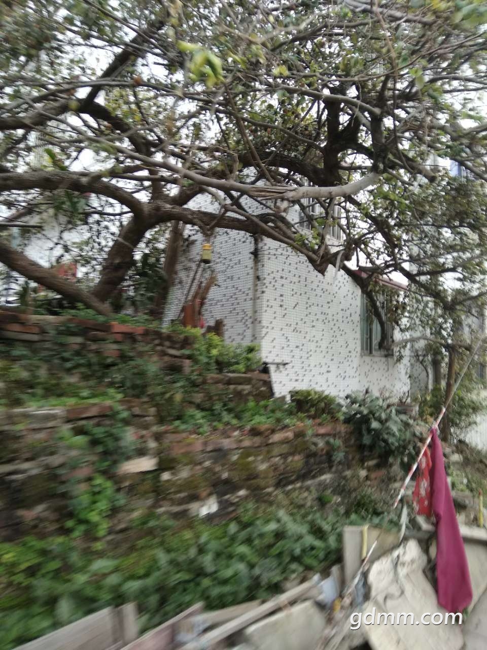 20190303_3245728_1551595115698.jpg