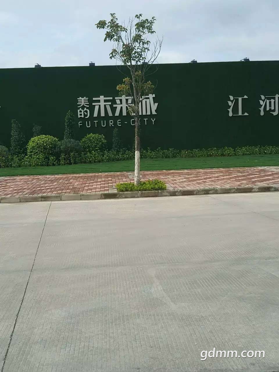 20190304_3279903_1551663447061.jpg