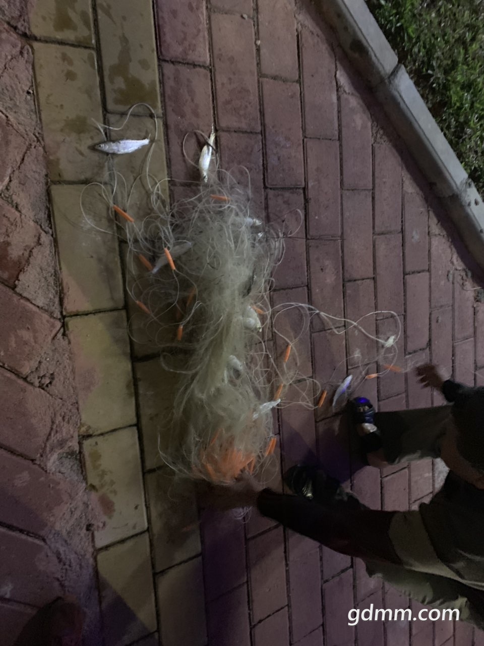 2019030632532691551876123786135.jpg