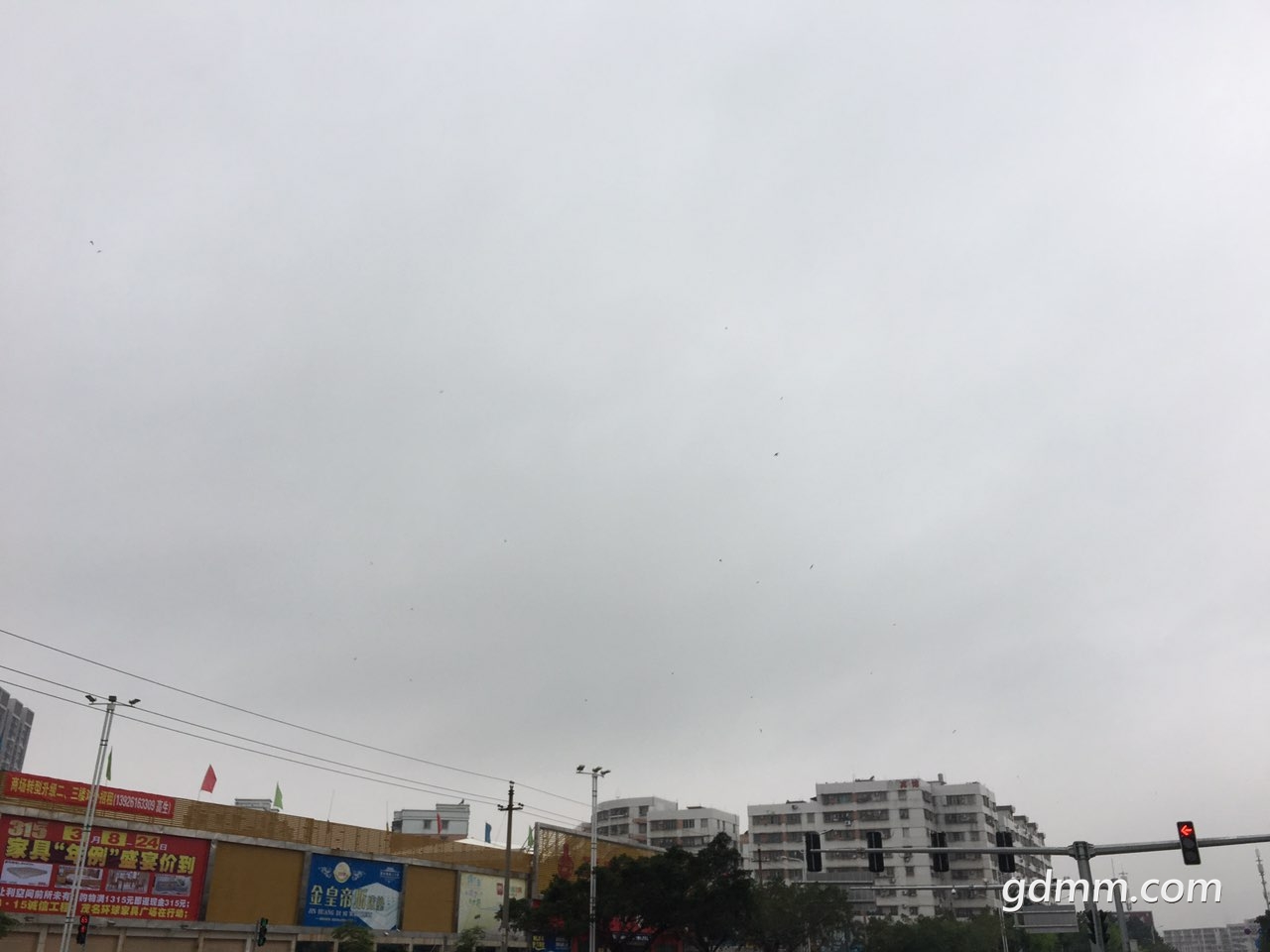 2019030912750731552101067479485.jpg