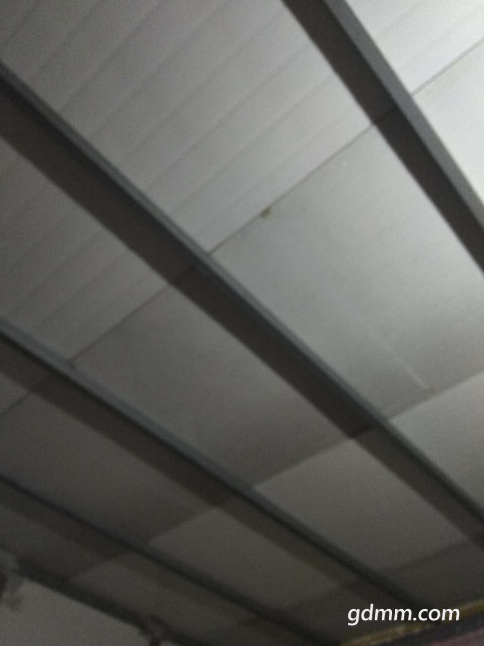 20190311_3281036_1552270241264.jpg
