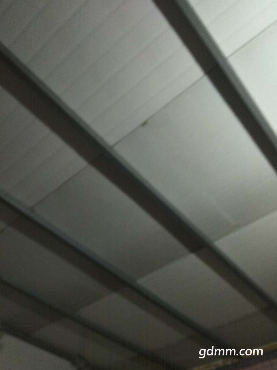 20190311_3281036_1552270241661.jpg