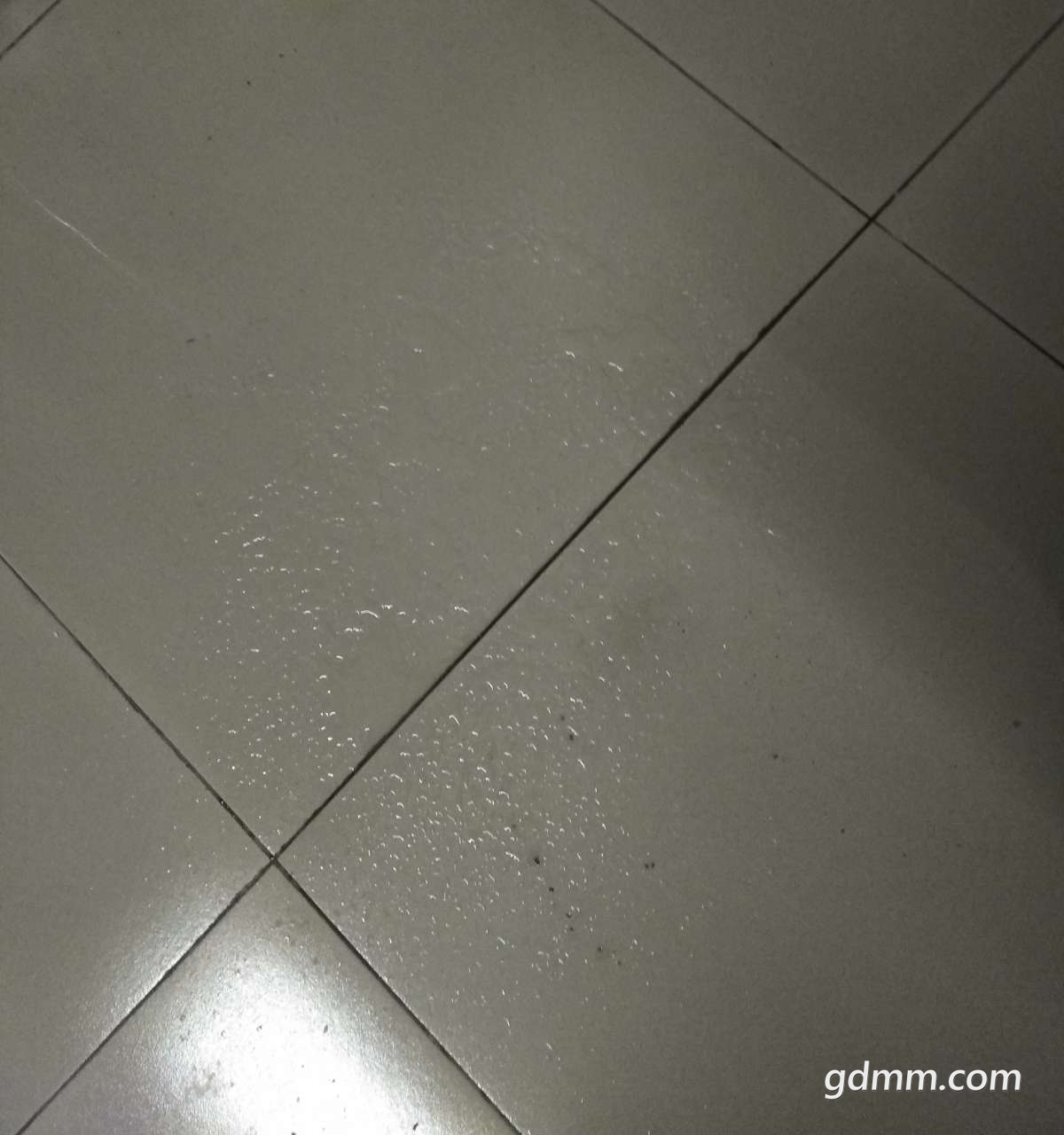 20190311_3281036_1552270241975.jpg