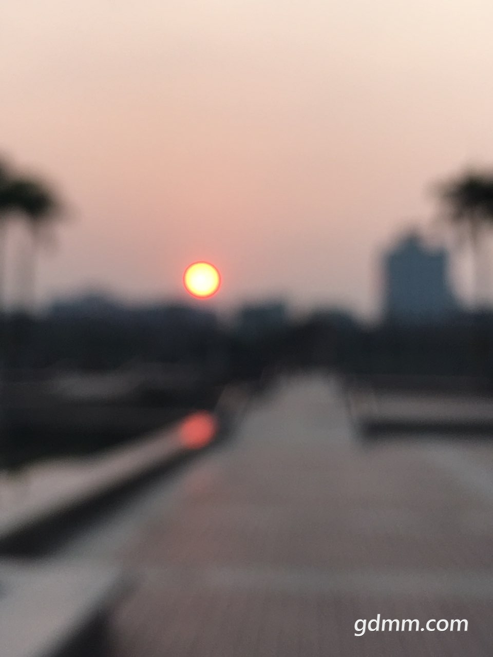 2019031132366051552300123138101.jpg