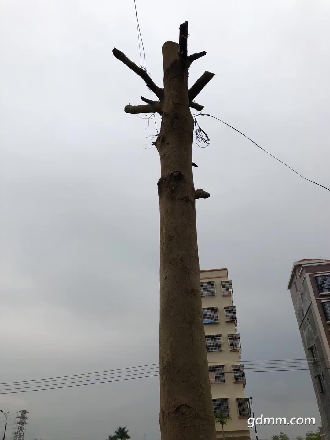 ΢��ͼƬ_20190311185120.jpg