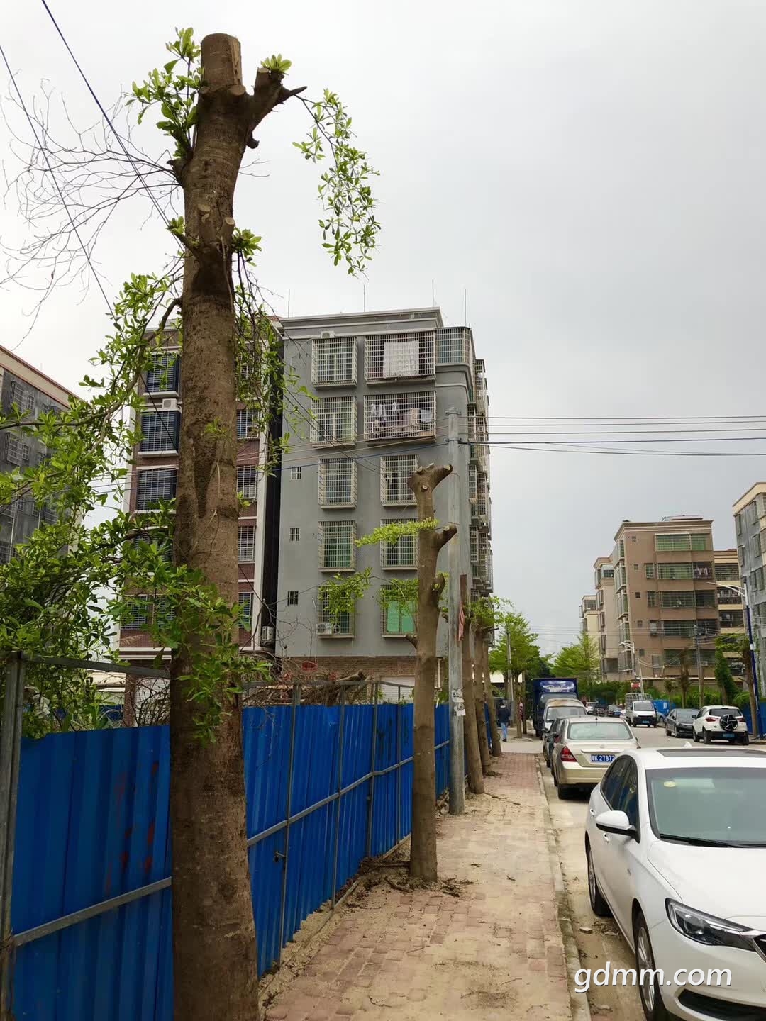 ΢��ͼƬ_20190311185126.jpg