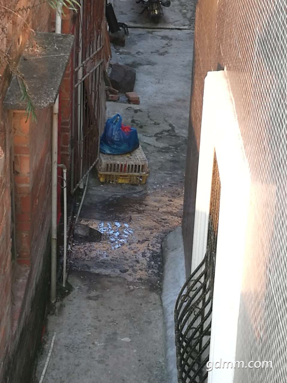 20190313_3281616_1552478620540.jpg
