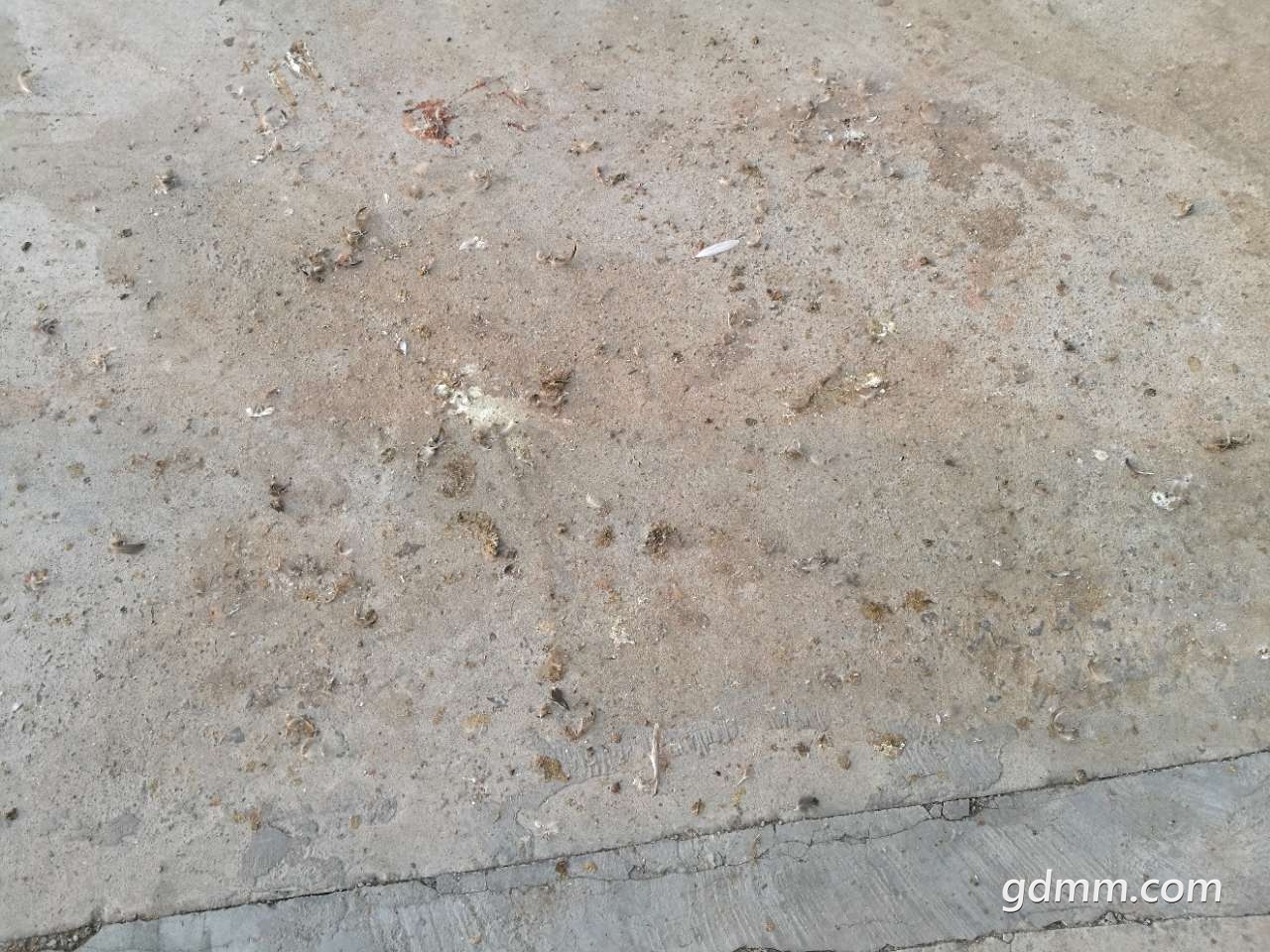 20190313_3281616_1552478619736.jpg