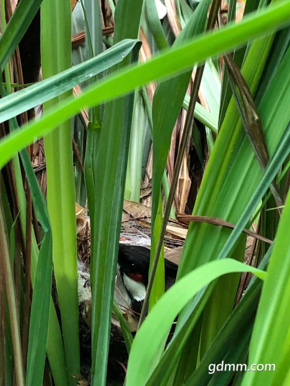 20190314_3276480_1552536383715.jpg