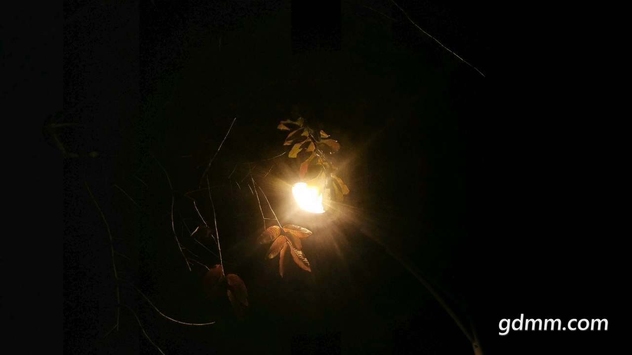 20190316_3236842_1552741584627.jpg