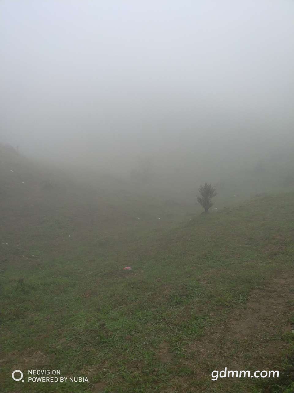20190317_3256765_1552834147688.jpg