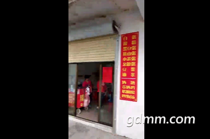 QQ��ͼ20190322110357.png