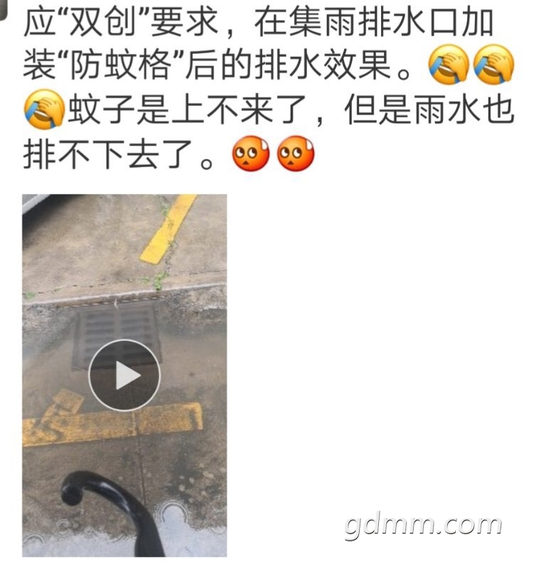 2019032331716301553322161964261.jpg