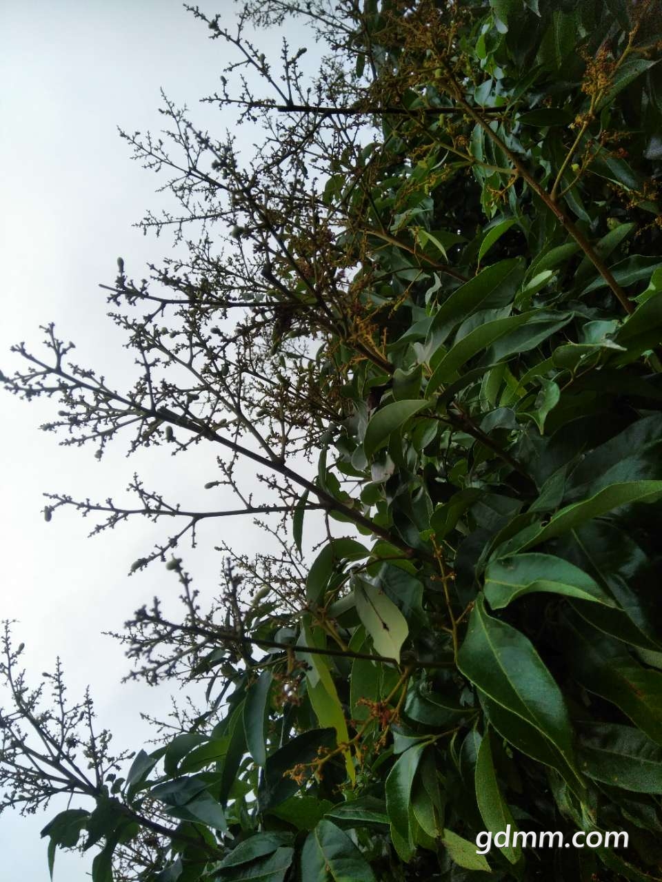 20190325_3281132_1553514534111.jpg